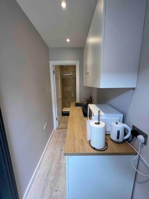 Newly Built Large Garden Ensuite Guest Studio Borehamwood Kültér fotó