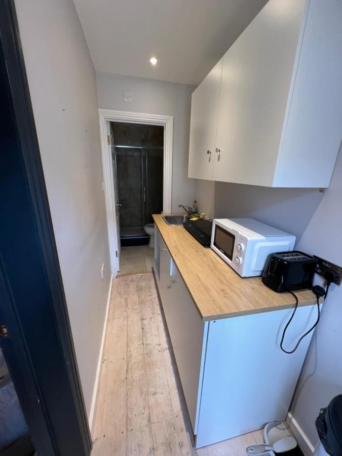 Newly Built Large Garden Ensuite Guest Studio Borehamwood Kültér fotó
